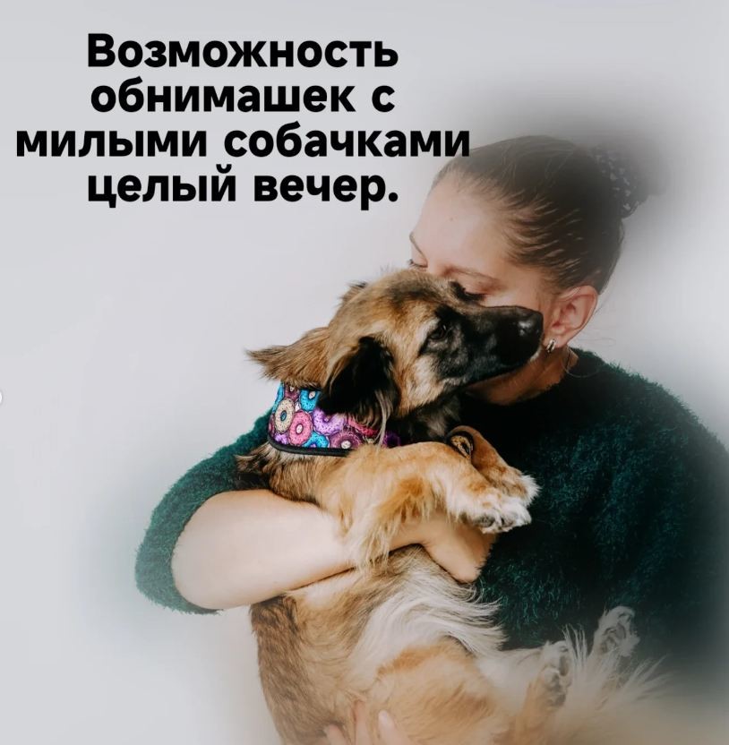Домик 