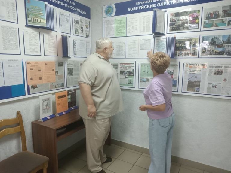 https://mogilev.1prof.by/news/pod-napryazheniem-kak-v-bobrujskix-elektrosetyax-sledyat-za-bezopasnostyu/