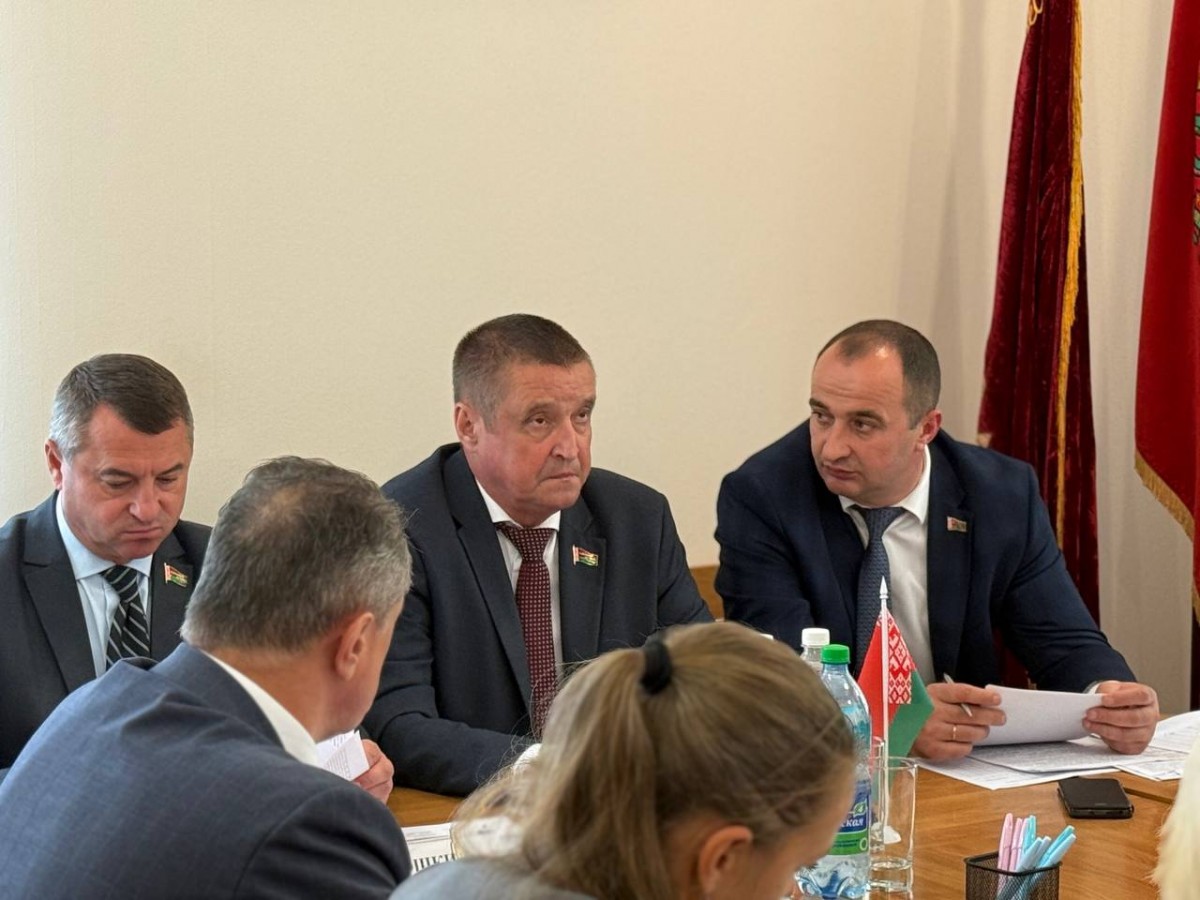 Снос ветхих построек обсудили за круглым столом в Бобруйском районе