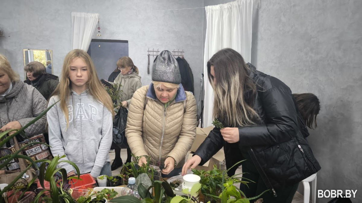 обмен цветами бобруйск