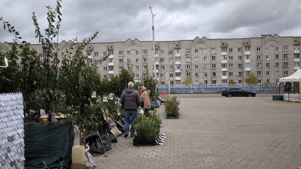 В Бобруйске проходит ярмарка «Дары осени»