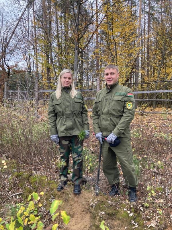 Волонтеры и организации Бобруйска озеленили 1,2 гектара Волонтеры и организации Бобруйска озеленили 1,2 гектара