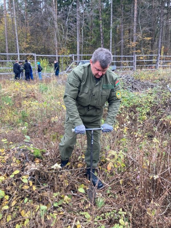 Волонтеры и организации Бобруйска озеленили 1,2 гектара Волонтеры и организации Бобруйска озеленили 1,2 гектара