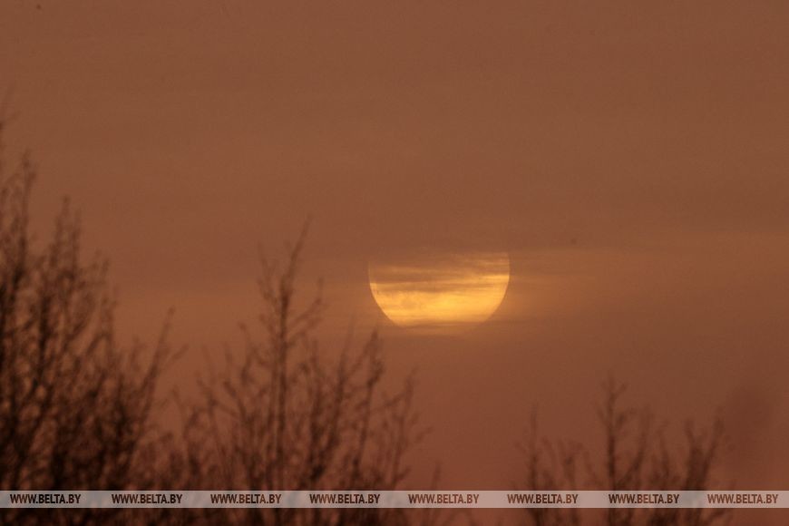 Бобровая луна Бобровая луна