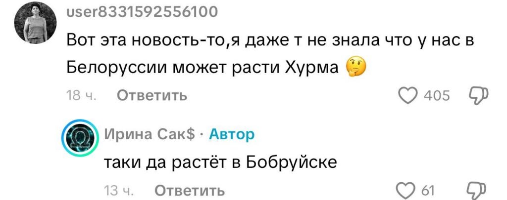 Урожай хурмы в Бобруйске предсказал теплую зиму и покорил интернет Урожай хурмы в Бобруйске предсказал теплую зиму и покорил интернет