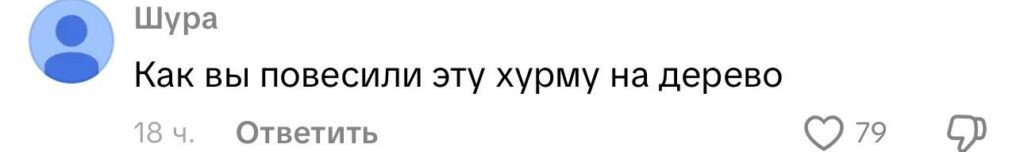 Урожай хурмы в Бобруйске предсказал теплую зиму и покорил интернет Урожай хурмы в Бобруйске предсказал теплую зиму и покорил интернет
