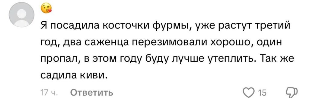 Урожай хурмы в Бобруйске предсказал теплую зиму и покорил интернет Урожай хурмы в Бобруйске предсказал теплую зиму и покорил интернет