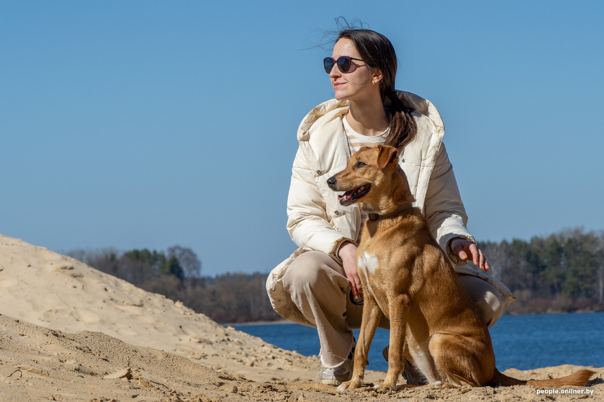 Правила выгула и обязательные курсы: что может измениться для владельцев животных?