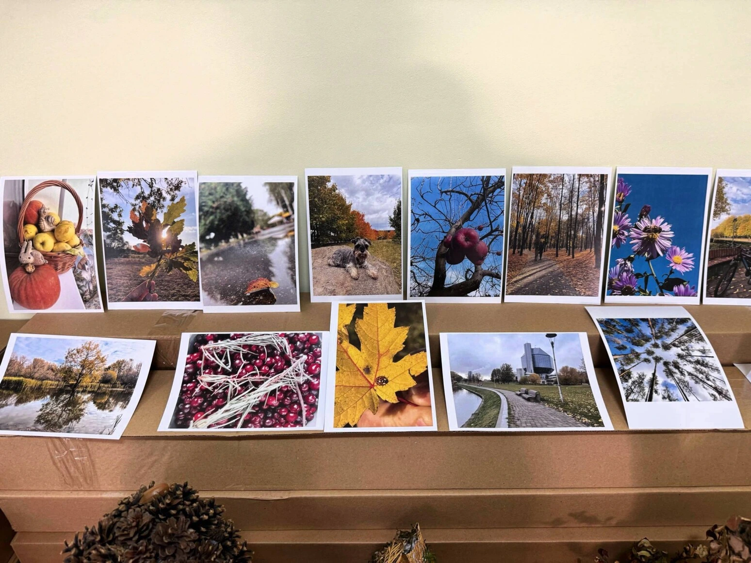 Вернисаж осенних сокровищ: в Бобруйске прошел яркий конкурс творческих работ Вернисаж осенних сокровищ: в Бобруйске прошел яркий конкурс творческих работ