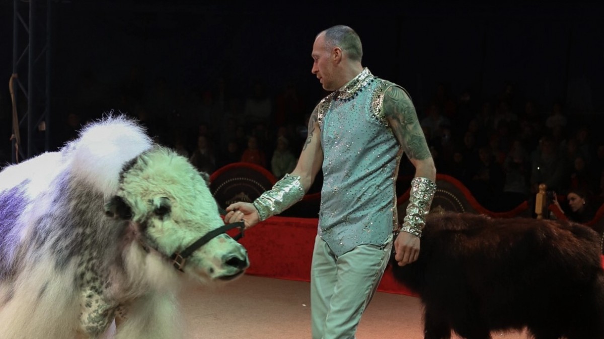 Шапито «13 метров». Новая программа