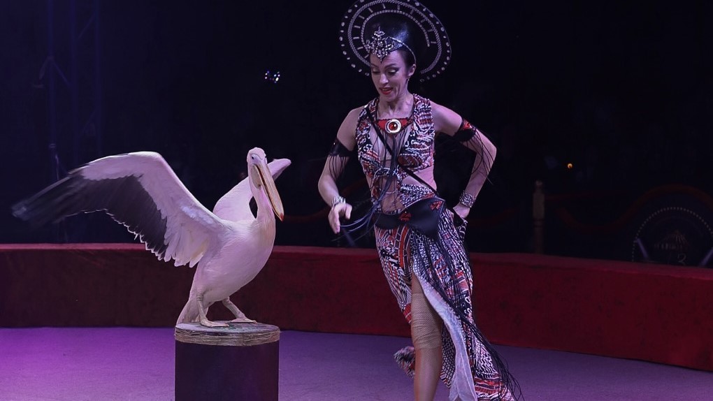 Шапито «13 метров». Новая программа