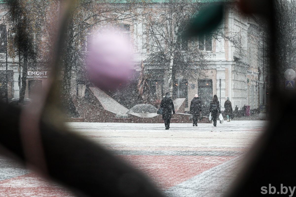Фотофакт. В Бобруйске выпал первый снег