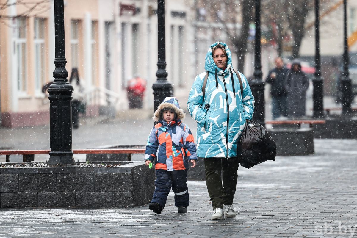 Фотофакт. В Бобруйске выпал первый снег