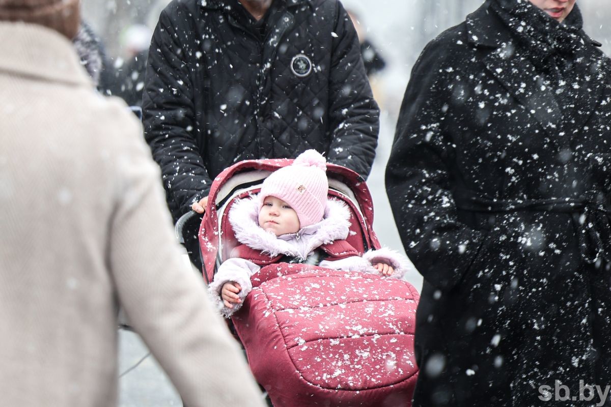 Фотофакт. В Бобруйске выпал первый снег