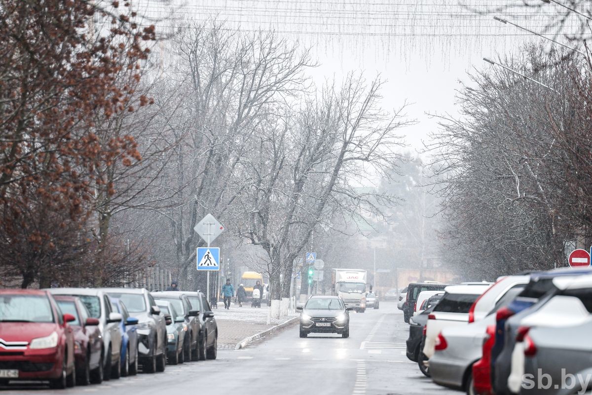 Фотофакт. В Бобруйске выпал первый снег