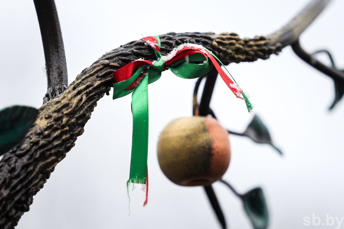 Фотофакт. В Бобруйске выпал первый снег