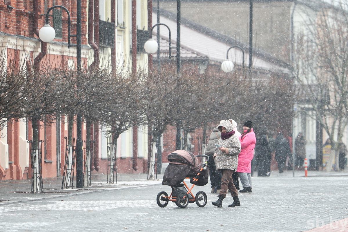 Фотофакт. В Бобруйске выпал первый снег
