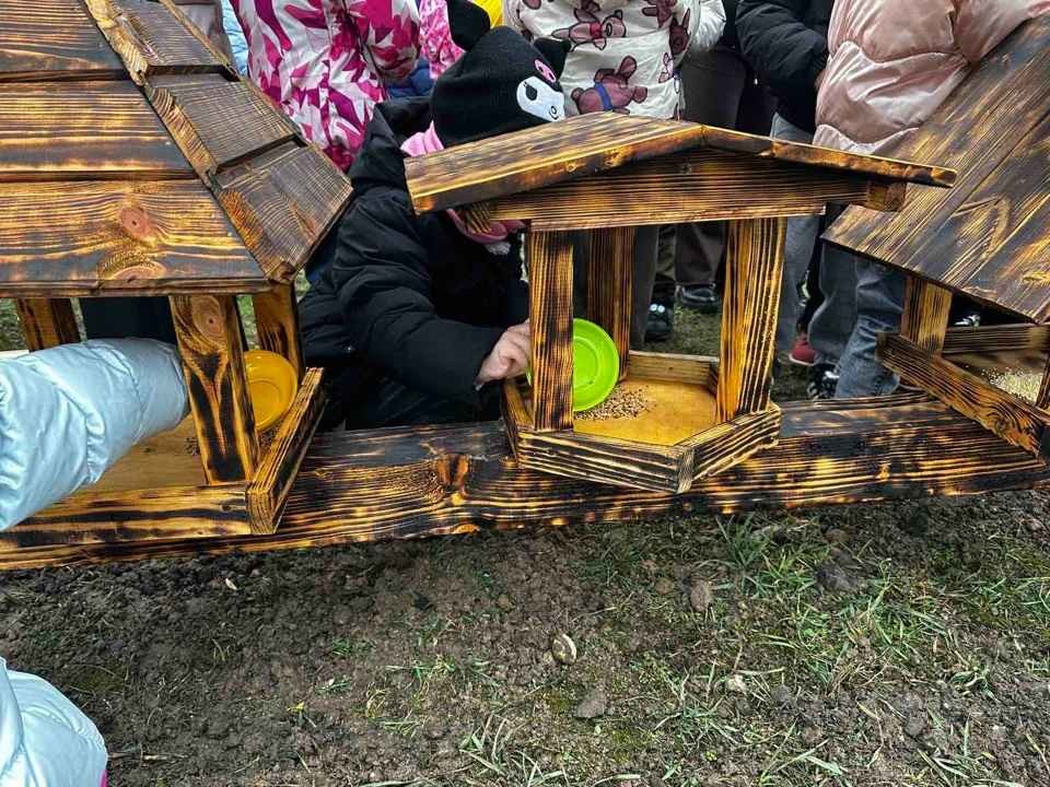Юные бобруйчане помогли пернатым: в городе открыли «птичью столовую»