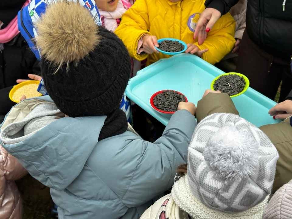 Юные бобруйчане помогли пернатым: в городе открыли «птичью столовую»