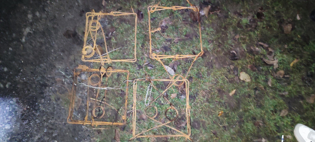 Браконьер получил огромный штраф за убийство двух бобров