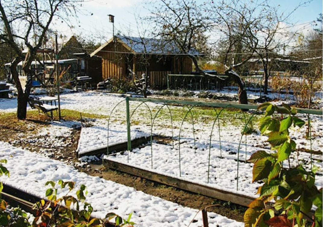 Синоптики обещают тёплый декабрь. Что можно успеть сделать на даче?