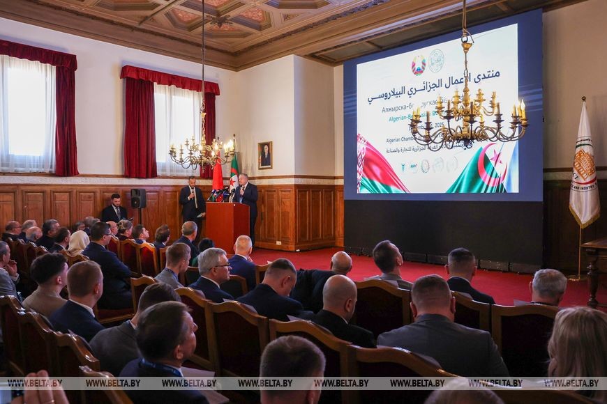 «Бобруйскагромаш» нацелился на Алжир