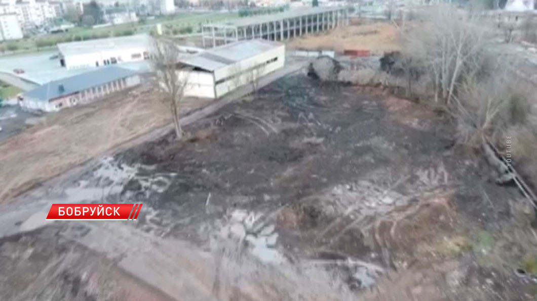 Уникальное предприятие по деревообработке открыли в Бобруйске