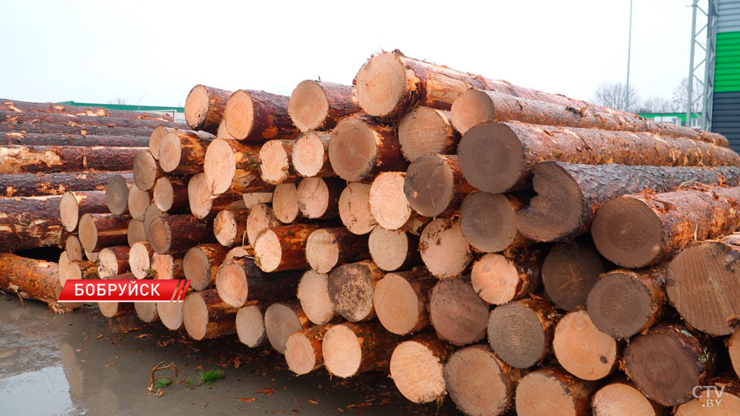 Уникальное предприятие по деревообработке открыли в Бобруйске