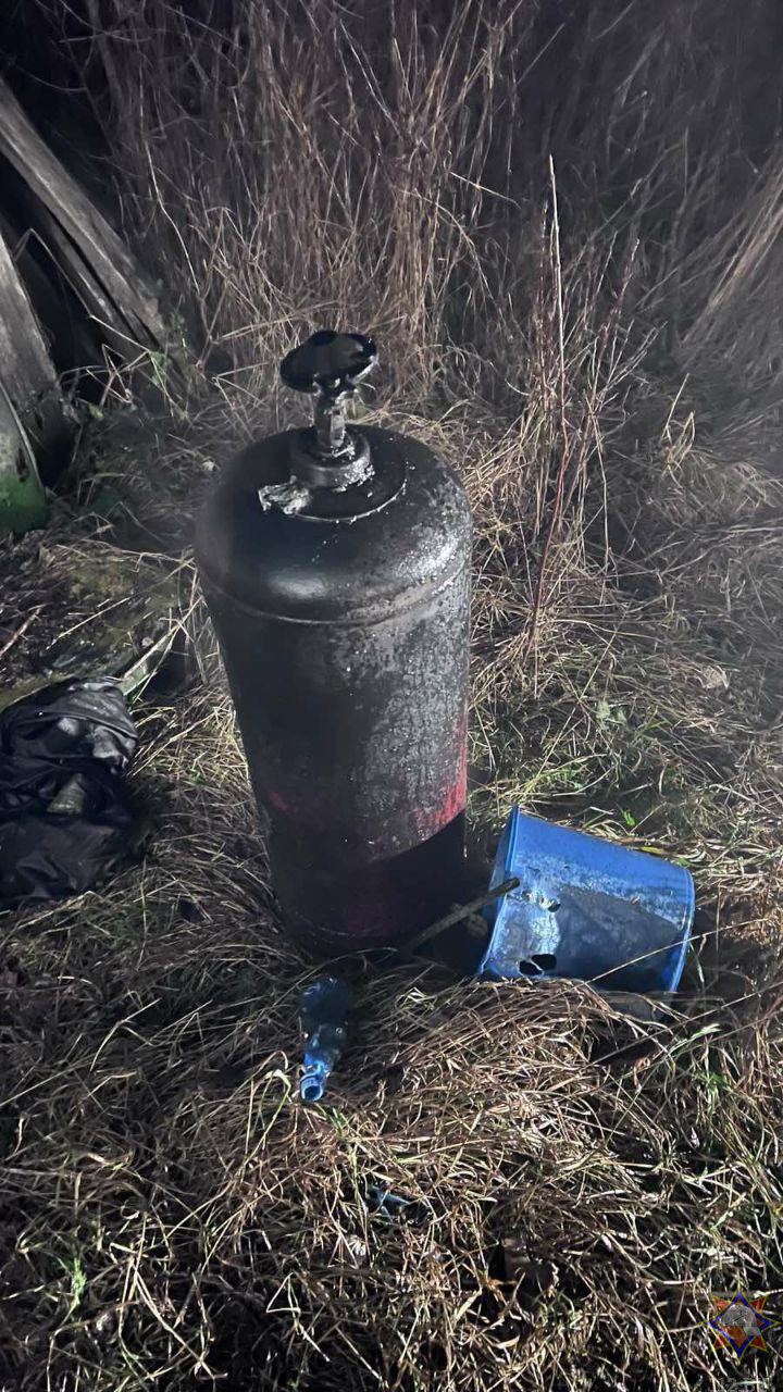 Житель Бобруйска спас пенсионера из горящего дома