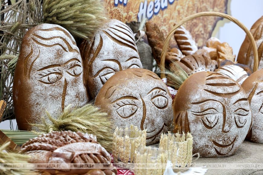 Путешествие в будущее: &laquo;Бобруйскагромаш&raquo; и другие предприятия представят свои достижения на выставке &laquo;Моя Беларусь&raquo;