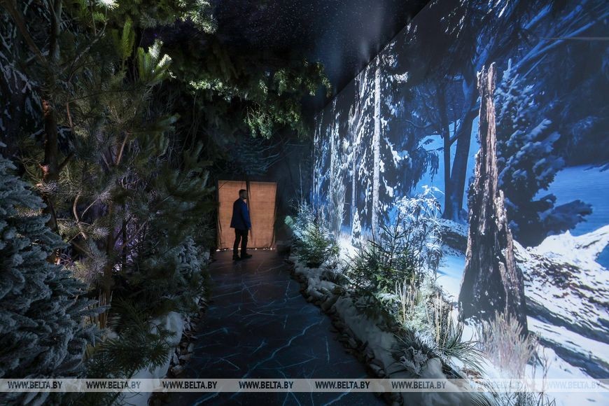 Путешествие в будущее: &laquo;Бобруйскагромаш&raquo; и другие предприятия представят свои достижения на выставке &laquo;Моя Беларусь&raquo;