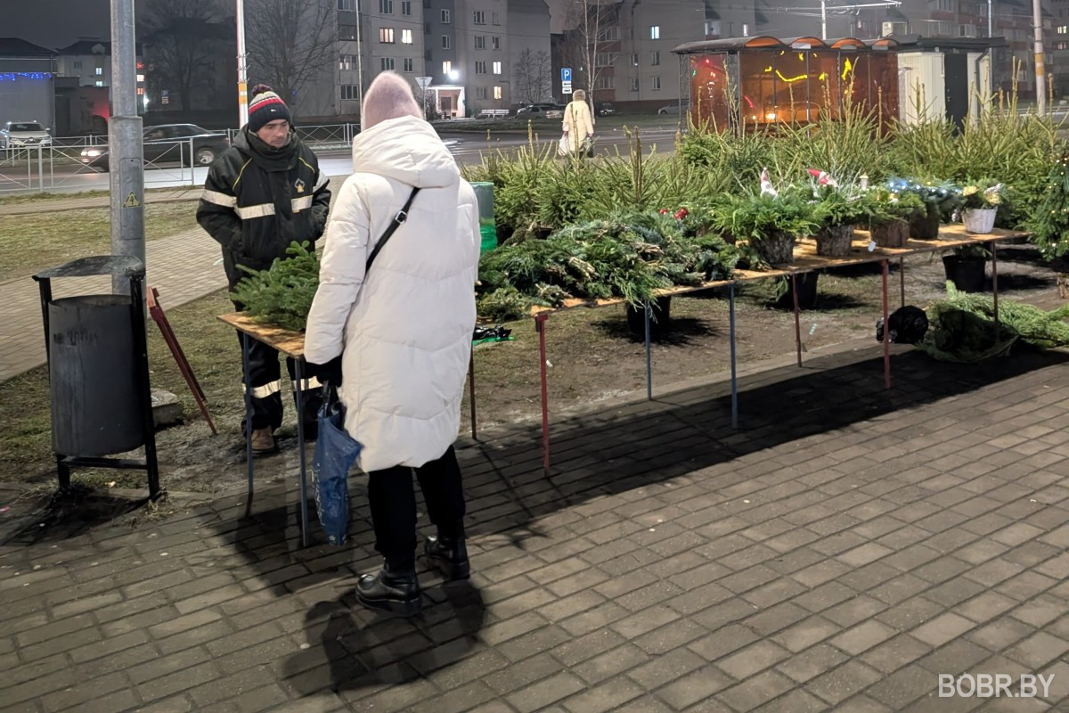 Елочный базар, Бобруйск