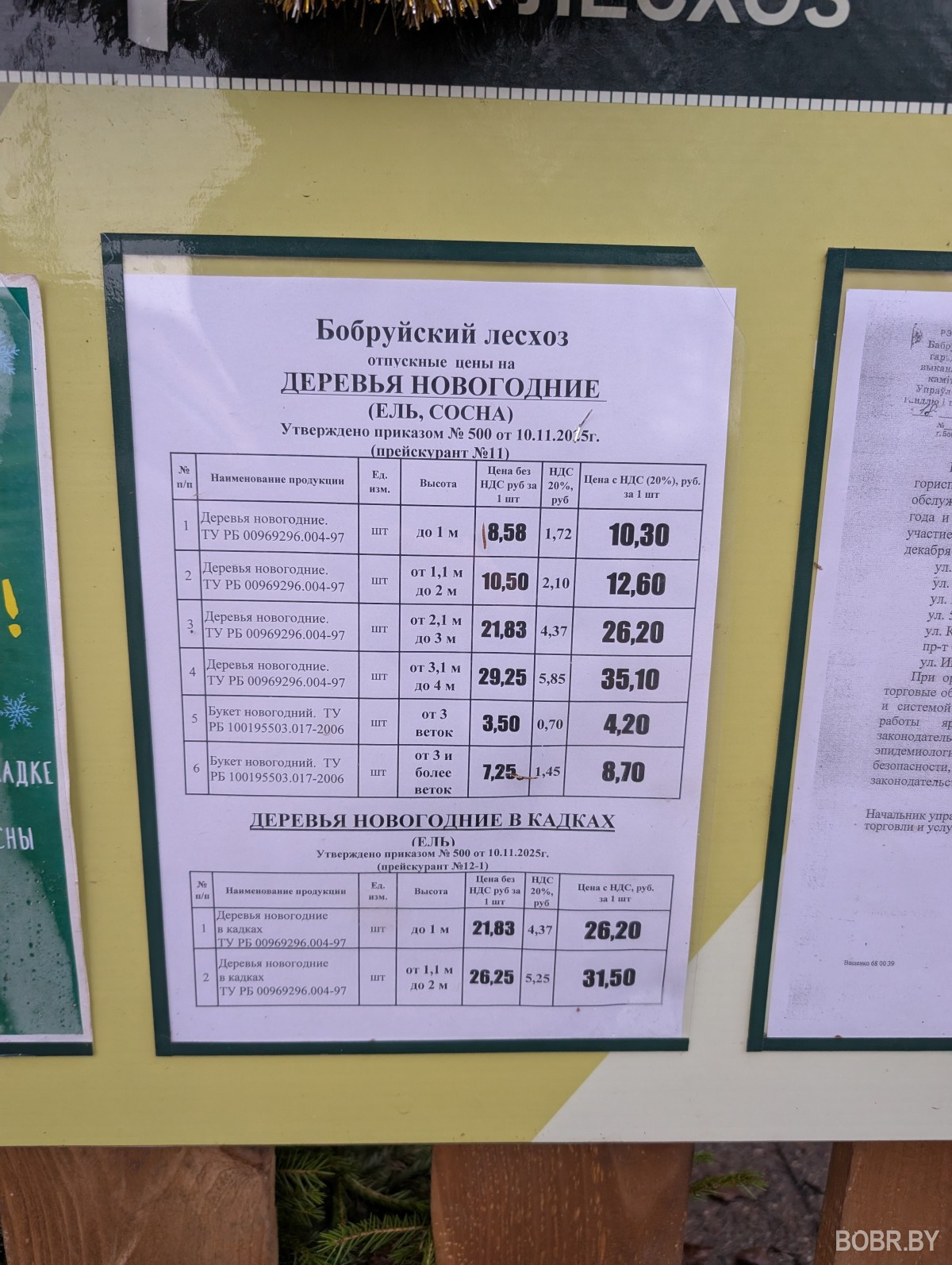 Елочный базар Бобруского лесхоза