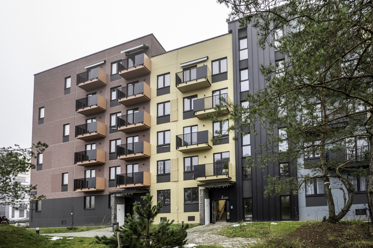 Шчастлівы кошык. Грошык.