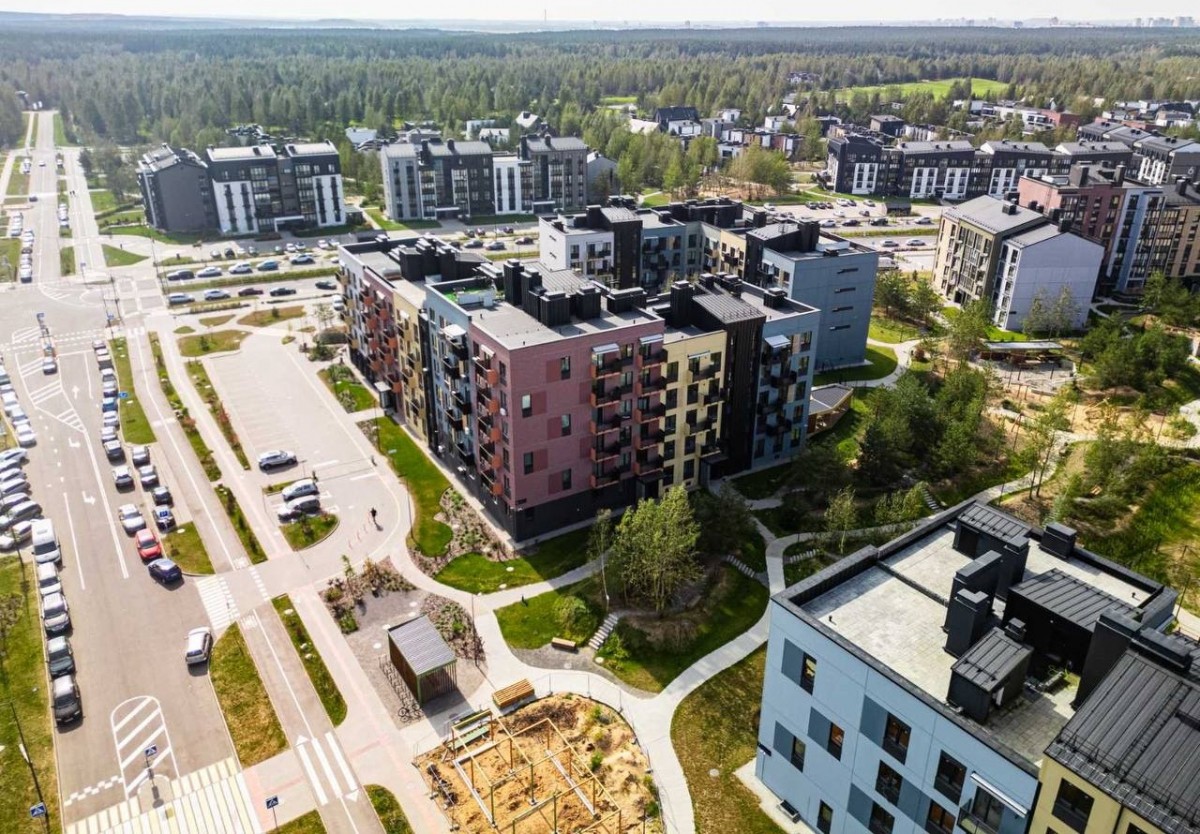 Шчастлівы кошык. Грошык.