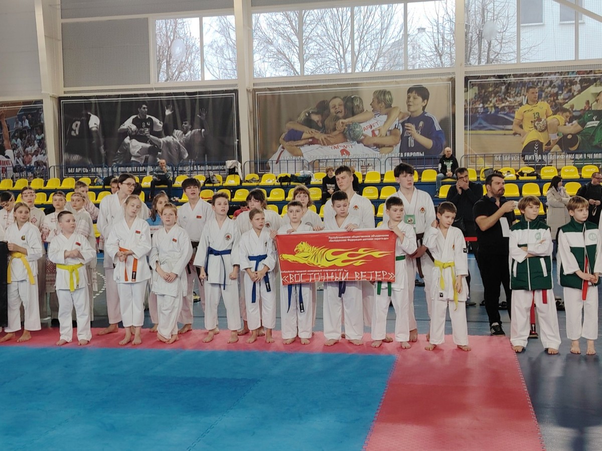 Бобруйские каратисты завоевали 10 медалей на Чемпионате Беларуси