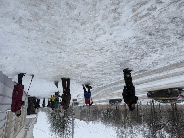 Бобруйск навел порядок: в городе прошел санитарный день