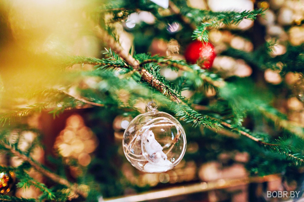 Рождественская ночь в Николо-Софийском храме