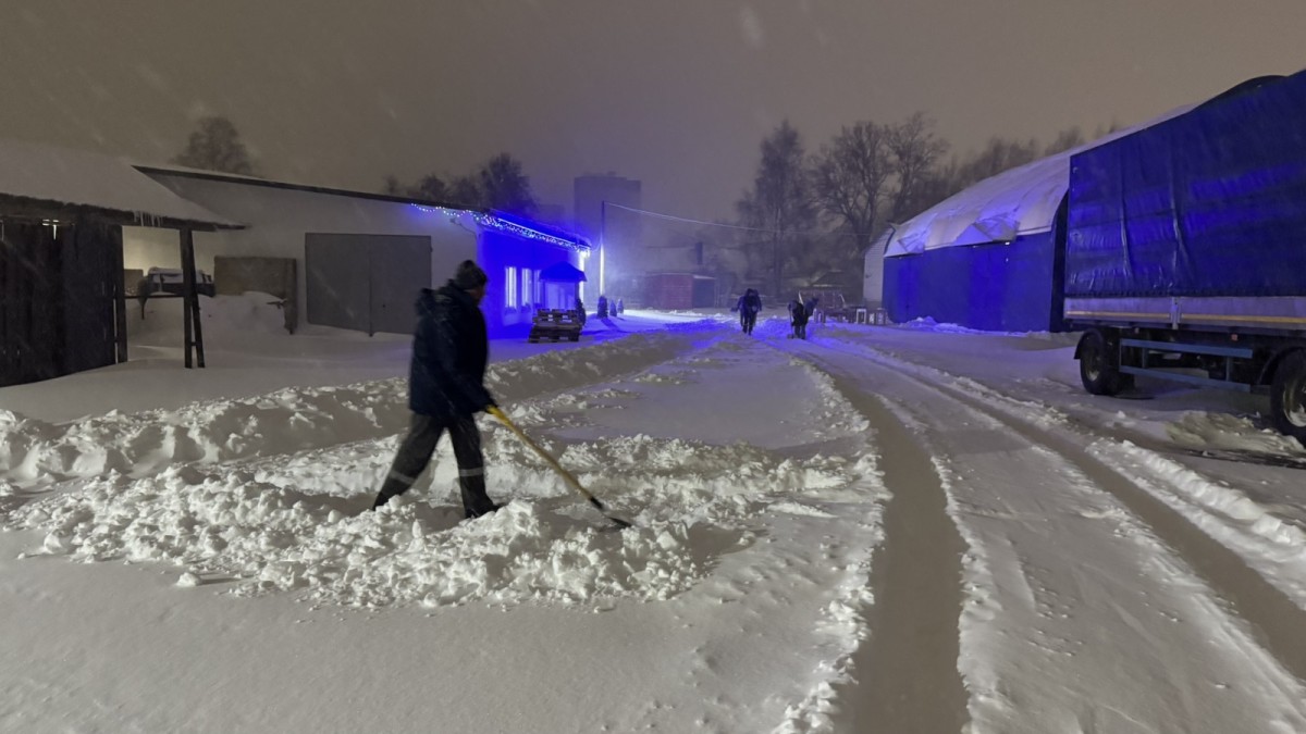 Бобруйск объединился перед лицом снегопадов