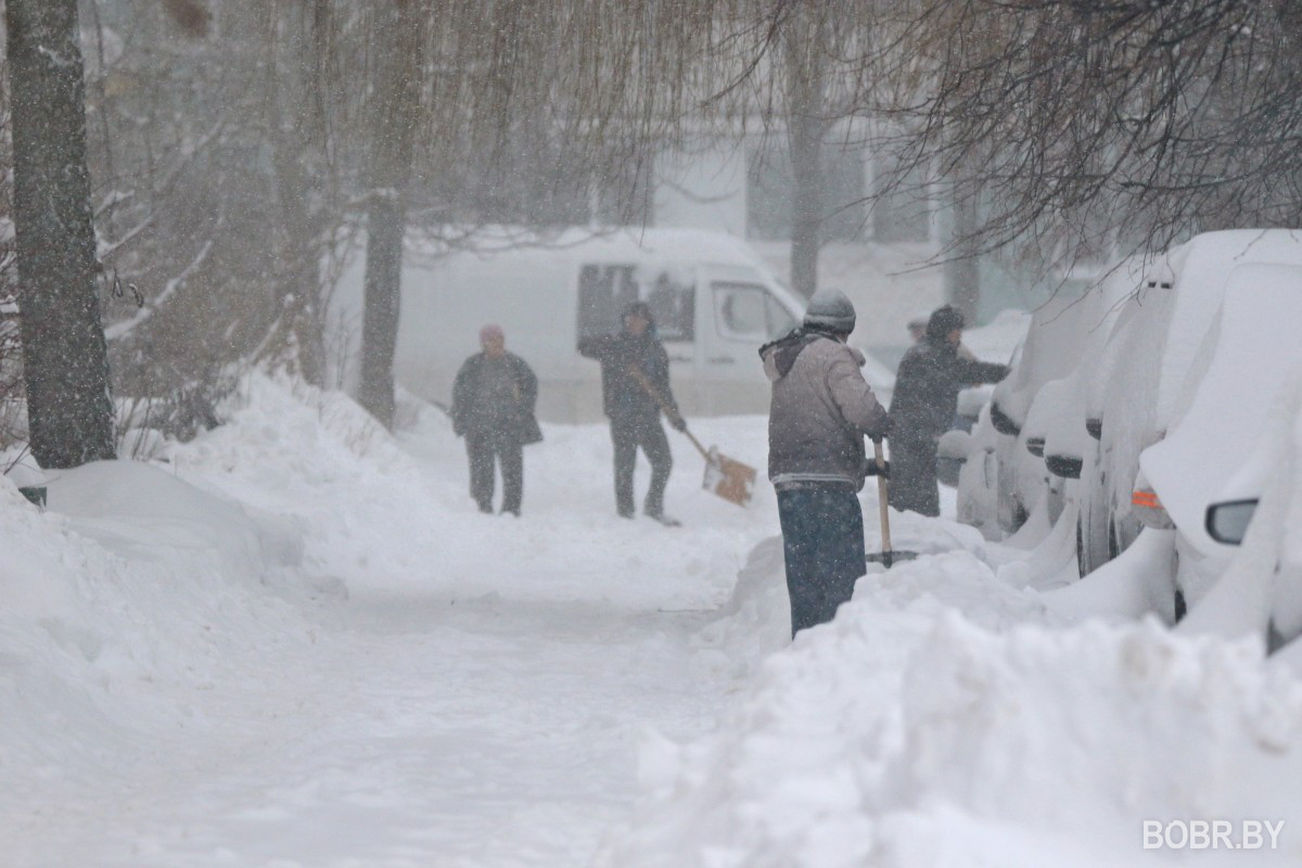 Снегопад в Бобруйске