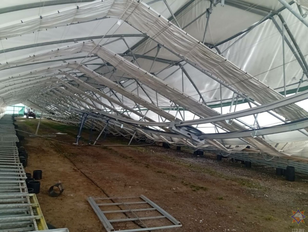 Под Бобруйском из-за снега обрушился каркас теплицы лесного питомника Под Бобруйском из-за снега обрушился каркас теплицы лесного питомника