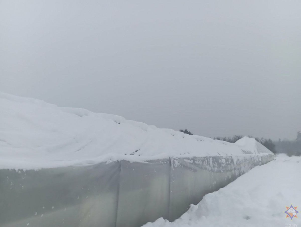 Под Бобруйском из-за снега обрушился каркас теплицы лесного питомника Под Бобруйском из-за снега обрушился каркас теплицы лесного питомника