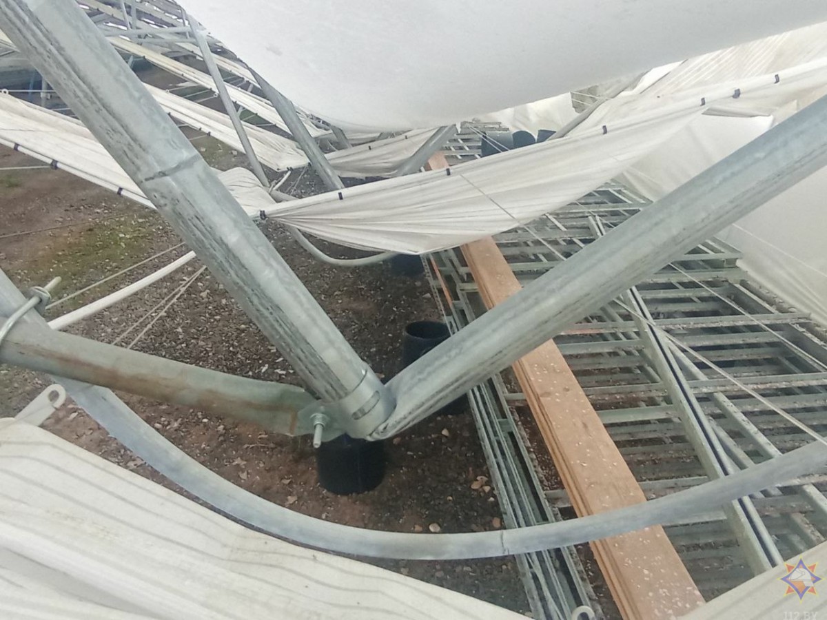 Под Бобруйском из-за снега обрушился каркас теплицы лесного питомника Под Бобруйском из-за снега обрушился каркас теплицы лесного питомника