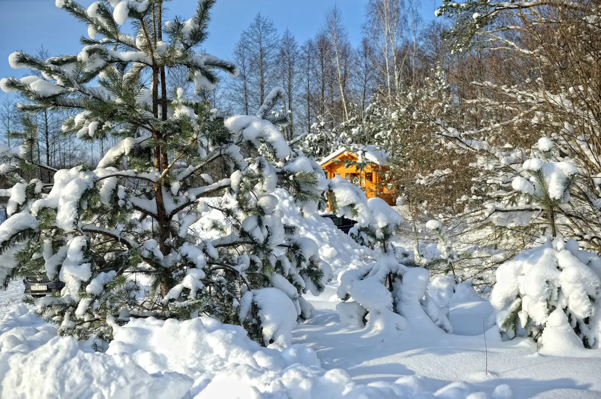 Бобруйский район в морозный день