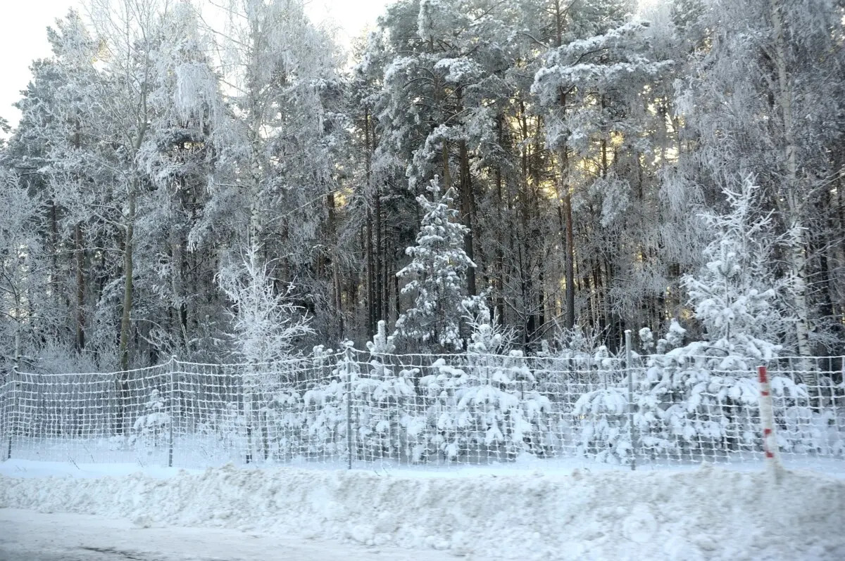 Бобруйский район в морозный день