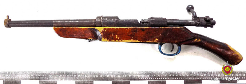 бобруйчане получили сроки за найденный обрез