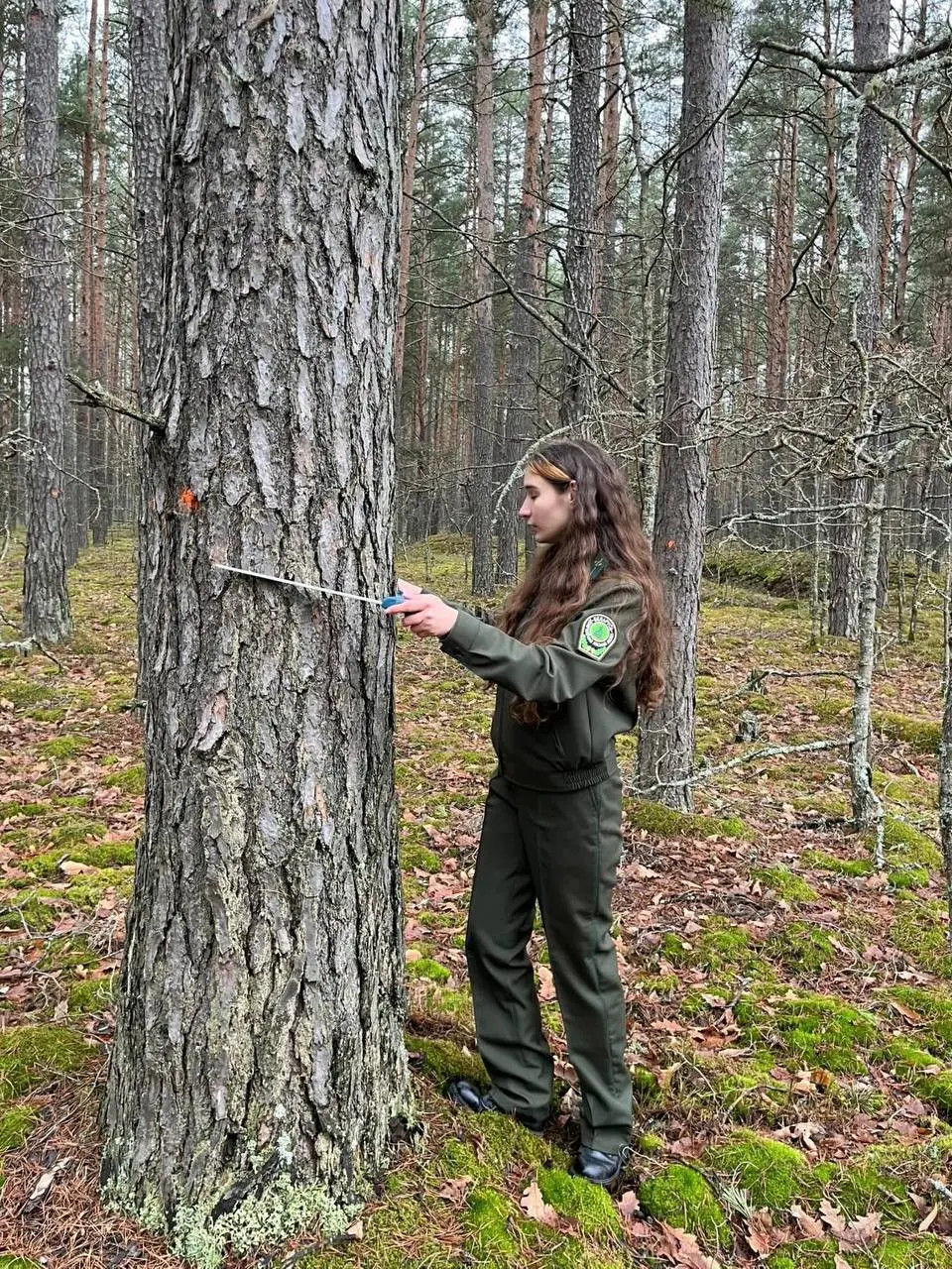Живет в бобруйском &laquo;полесье&raquo; кудесница леса &mdash; Алеся&hellip;