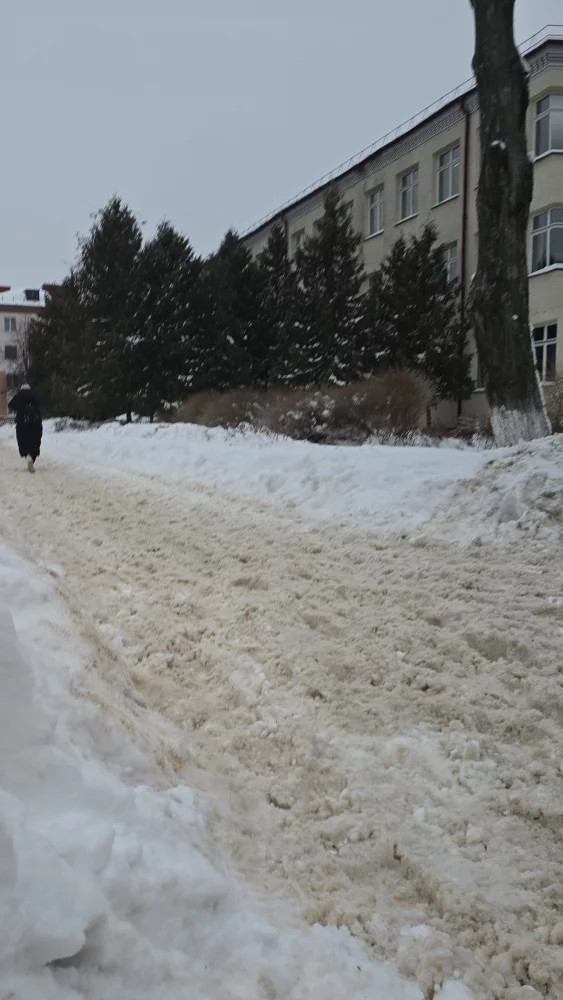 Администрация отчиталась о санитарном дне, жители – о проблемах с передвижением в Ленинском районе Администрация отчиталась о санитарном дне, жители – о проблемах с передвижением в Ленинском районе