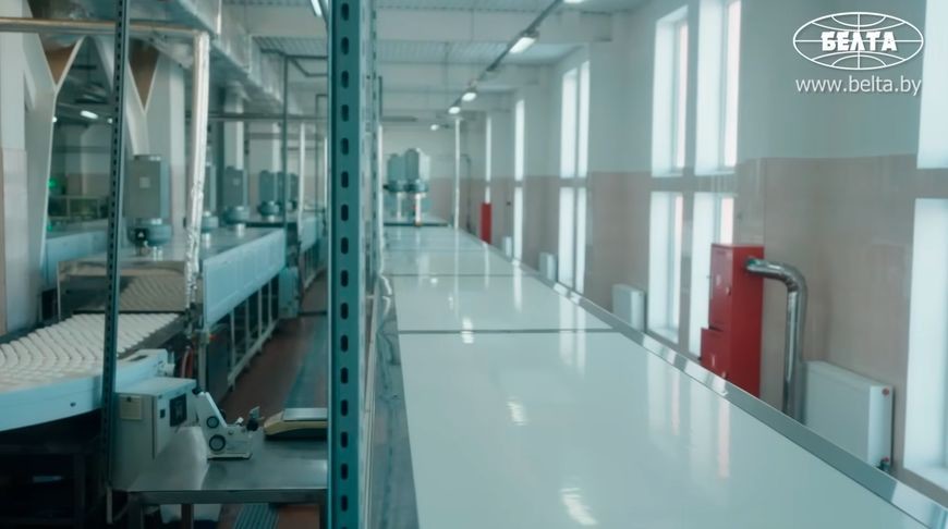 В чем феномен бобруйского зефира, известного за пределами Беларуси? В чем феномен бобруйского зефира, известного за пределами Беларуси?