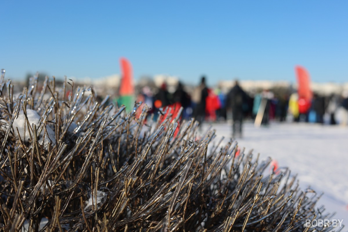 Бобруйская лыжня